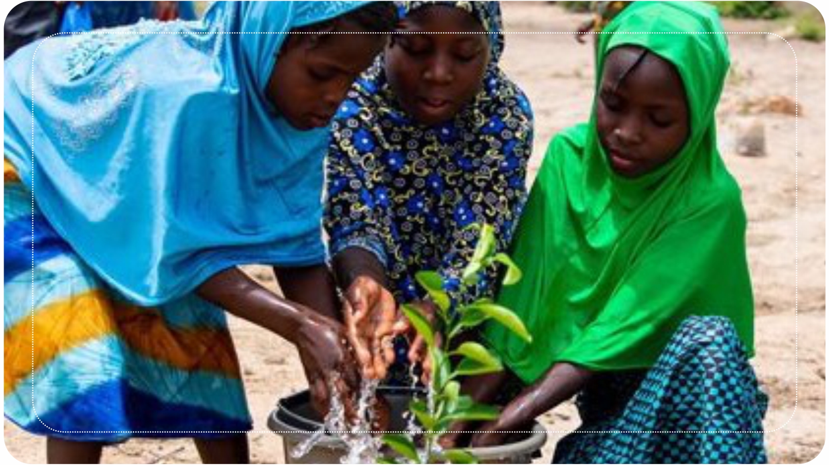 Fidan Proje Organizasyonu