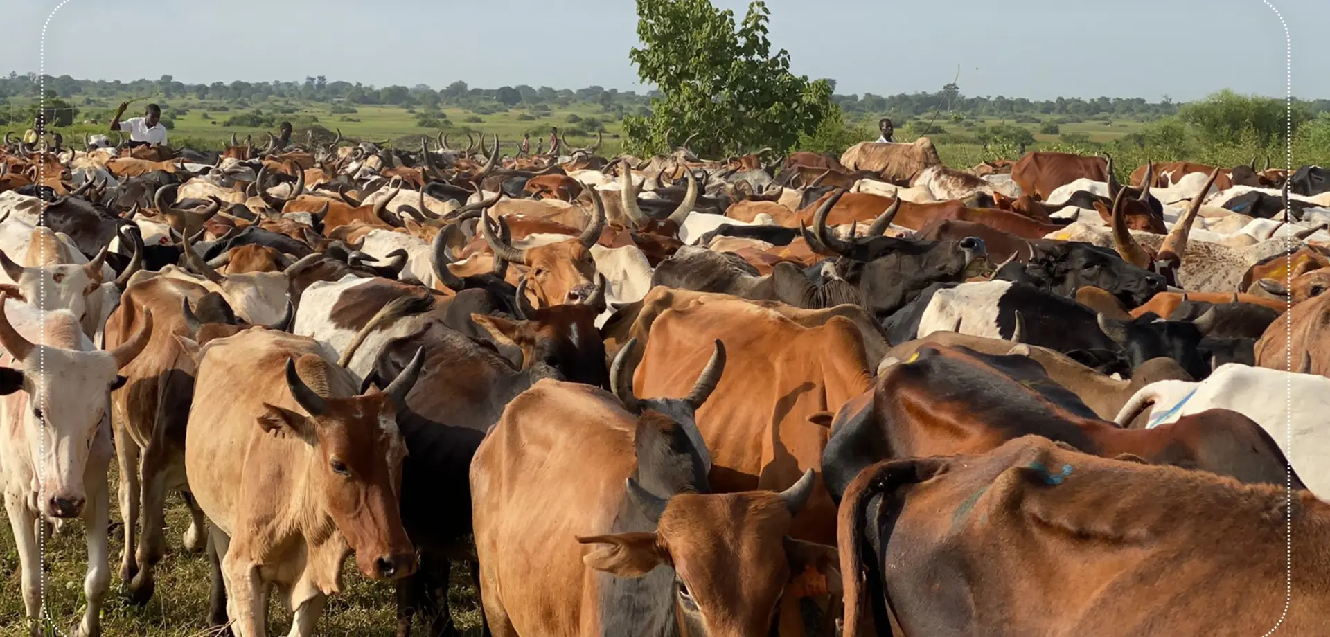 Birlikte Daha Güçlüyüz...